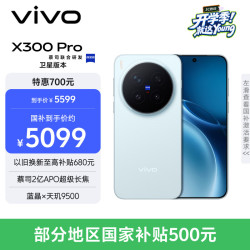 vivo X300 Pro 卫星通信版 5G手机 12GB+512GB 自在蓝