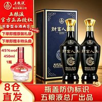 五粮液 财富人生浓香型白酒四川名酒52度500mL*2两瓶装蓝钻