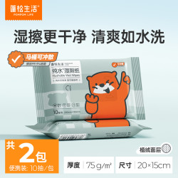 蓬松生活 75g加厚纯水湿厕纸  10抽 2包