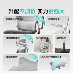 黑白调 P2 Pro+二代 4D腰托 霜白带脚托 电脑椅