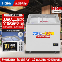 海尔 商用冷冻柜SD-219HZE