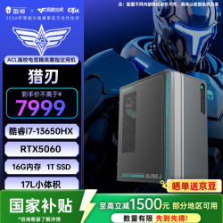 雷神 黑武士·猎刃 游戏设计办公商用17L台式电脑电竞主机(i7-13650HX 16GD5 RTX5060 1TSSD）
