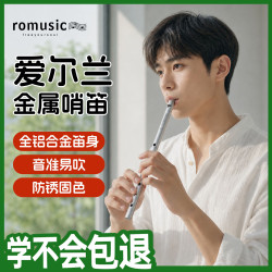 Romusic 爱尔兰哨笛D调全金属一体六孔直笛初学学生教学专业演奏竖笛笛子