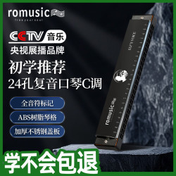 Romusic 口琴 24孔复音C调初学口琴（黑色）学生教学推荐