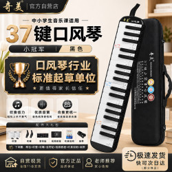 奇美 QM37A-15 37键口风琴