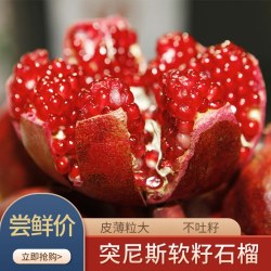 火鸡生活 5斤突尼斯软籽石榴新鲜水果粒粒饱满甜不吐籽个大饱满