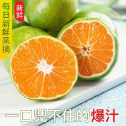 土八鲜 寻乌蜜橘新鲜水果当季现摘青皮蜜桔无籽桔子早熟橘子整箱自然熟