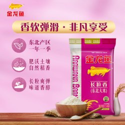 金龙鱼 东北长粒香大米5kg*1袋东北大米 清香爽口