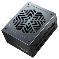 金河田 Vortexis Platinum SFX 850W 白金牌全模组 ATX3.1 电源
