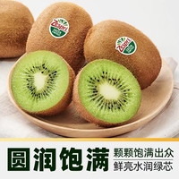 佳沛 绿奇异果10粒（79g-103g）