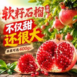 今鲜果 软籽石榴净重4.5斤+/单果300g+