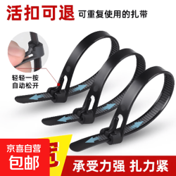 nylon 自锁式尼龙扎带 活扣可重复使用 园艺 桌面理线带束线捆扎绑带 黑色 100条-黑色扎带