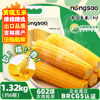 东北农嫂 低脂 黄糯玉米