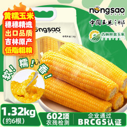 东北农嫂 低脂 黄糯玉米
