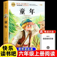 全套3册 童年爱的教育和小英雄雨来六年级上册必读的课外书老师经典书目完整版高尔基管桦小学快乐读书吧6上阅读书籍