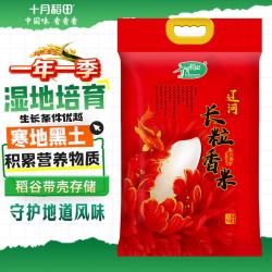 十月稻田 辽河 长粒香米 5kg