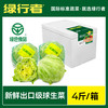绿行者 球生菜 新鲜蔬菜