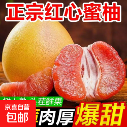 柚子 海南正宗开园头茬红心蜜柚红心柚子当季新鲜水果 单果重1-1.5斤