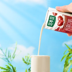 豆本豆 唯甄红枣豆奶250ml*24盒营养早餐奶植物蛋白饮品野餐下午茶
