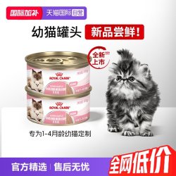 皇家 猫粮幼年期妊娠期哺乳期全价猫粮奶糕罐BMC/88g*2罐