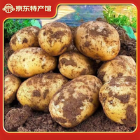 黔婆婆 贵州新鲜黄皮土豆净重9斤
