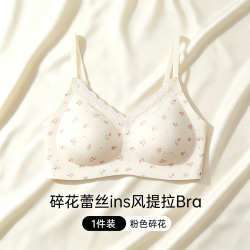 芬腾可安 蕾丝碎花甜美内衣女小胸聚拢提拉防下垂收副乳法式 固定杯 2XL