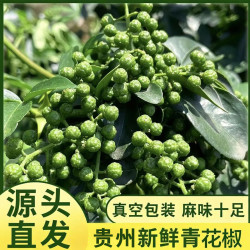黔婆婆 新鲜青花椒350g*3袋