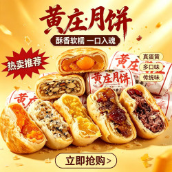黄庄月饼 故乡酥黄庄酥皮月饼苏式月饼河北石家庄特产黄庄·月饼中秋糕点 咸蛋黄味300克共5枚