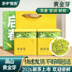 源聞白茶 黄金芽简装100g*2罐 送礼袋