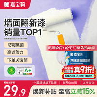 嘉宝莉 墙面补墙漆 白色 1kg