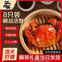 江问鱼 大闸蟹全母2.5两-2.8两 8只装 鲜活螃蟹生鲜礼盒足斤足两 源头直发 全母蟹2.5-2.8两 8只装