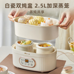 小熊 电炖锅炖蒸煮一体电炖盅煲汤锅隔水炖分体式0.5L *2