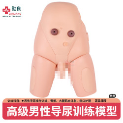 勤良男性导尿训练模型男女性导尿练习 肌肉穿刺注射训练教学男性导尿操作训练模拟人QL-H70/2