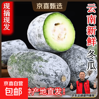 云南新鲜香冬瓜挂霜小冬瓜毛 云南冬瓜 9斤 带箱净重8.8斤