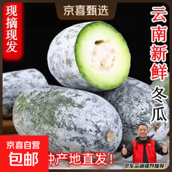 云南新鲜香冬瓜挂霜小冬瓜毛 云南冬瓜 9斤 带箱净重8.8斤