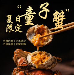 江问鱼 鲜活大闸蟹螃蟹足斤足两生鲜2.5-2.8两 10只装 源头直发
