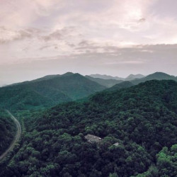 杭州夕上·虎跑1934酒店 春夏桂墅景观别墅房2晚(连住)