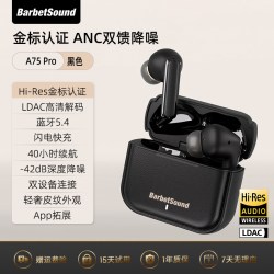 BarbetSound 主动降噪 蓝牙耳机  有线充电 Type-C 黑色