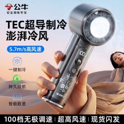 公牛 2026新款手持风扇夏季户外降温神器半导体制冷usb电风扇桌面