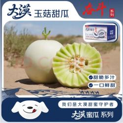 京鲜生 甘肃大漠玉菇甜瓜 净重6-7斤2粒礼盒装 生鲜水果源头直发