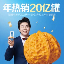 六个核桃 养元六个核桃植物蛋白核桃乳饮料整箱
