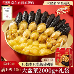 天海藏 高端礼盒 鲍鱼海参花胶大虾礼盒  10参10鲍大盆菜 2kg