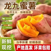 现挖沙地蜜薯软糯香甜无丝无筋 中大果（3-8两）含箱5斤