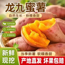 现挖沙地蜜薯软糯香甜无丝无筋 中大果（3-8两）含箱5斤