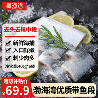富海锦 渤海带鱼净重400g*6袋去头去尾精选中段鱼类刀鱼烤鱼深海鱼纯鱼肉