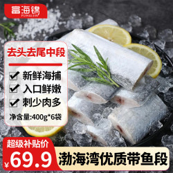 富海锦 渤海带鱼净重400g*6袋去头去尾精选中段鱼类刀鱼烤鱼深海鱼纯鱼肉
