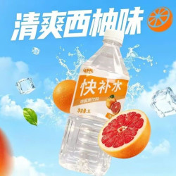 Hidolly 多口味电解质快补水1000ml*12瓶
