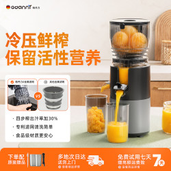 GDANNY 德国家用榨汁机渣汁分离AI智能变频