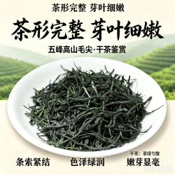 简小禾 五峰采花毛尖 特级新茶嫩芽尖 500g