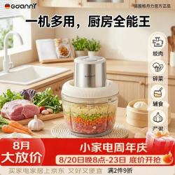 GDANNY 德国绞肉机家用辅食料理搅拌绞菜多功能一体婴儿绞馅小型大容量碎肉笫一名